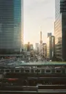 碧梧のプロフィール画像